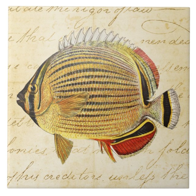 Carreau Illustration hawaïenne de poissons de papillon de (Devant)