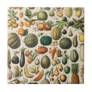 Carreau Illustration scientifique végétale des fruits