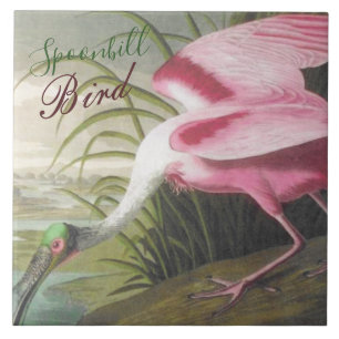 Carreau Illustration vintage de l'Audubon Spoonbill Bird