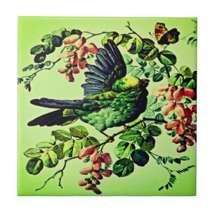 Carreau Illustration Vintage de l'oiseau vert par L. Prang