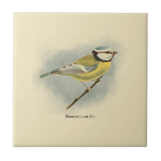 Carreau Illustration vintage en allemand Blue Tit