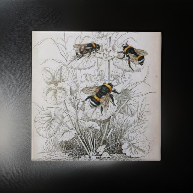 Carreau Illustration vintage HoneyBee | (Créateur téléchargé)