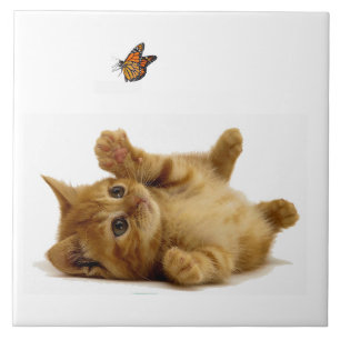Carreau Image de chat pour grand (6" X 6") Carrelage photo
