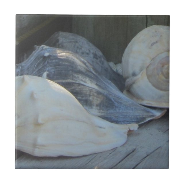 Carreau IMG_1498 (3).jpg (Devant)