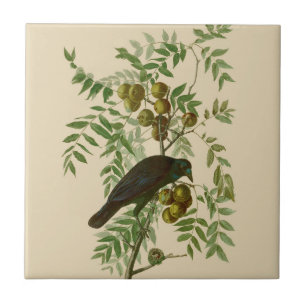 Carreau Impression d'oiseau Grackle Violet d'Audubon Botan