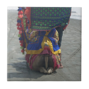 Carreau Imprimé/graphique en forme de chameau