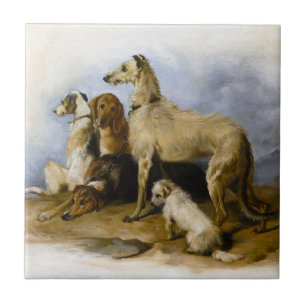 Carreau Imprimer les races de chiens Vintages