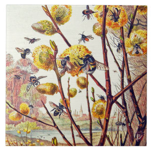 Carreau Insectes d'abeilles vintages Fleur de printemps
