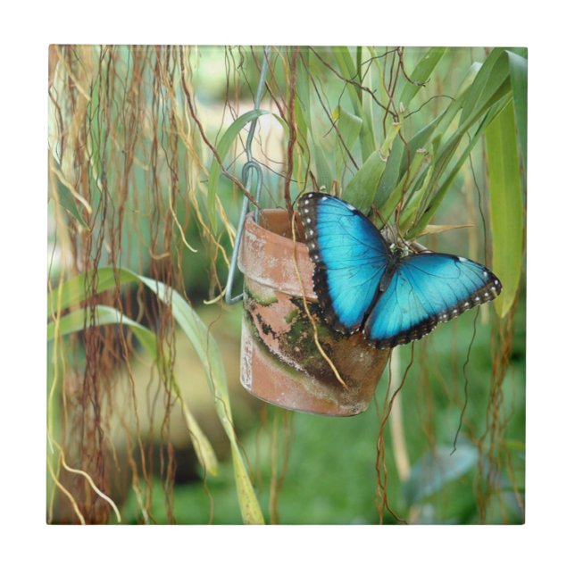Carreau Inspirations de la Nature Papillon Bleu Clair (Devant)
