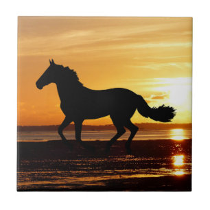 Carreau Inspirations naturelles Cheval Silhouetté au couc