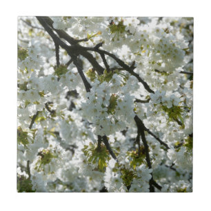 Carreau Inspirations naturelles Fleurs de cerisiers