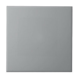 Carreau Intemporel - Carrelage en céramique gris argenté