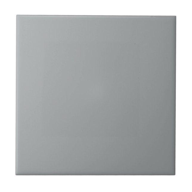 Carreau Intemporel - Carrelage en céramique gris argenté (Devant)