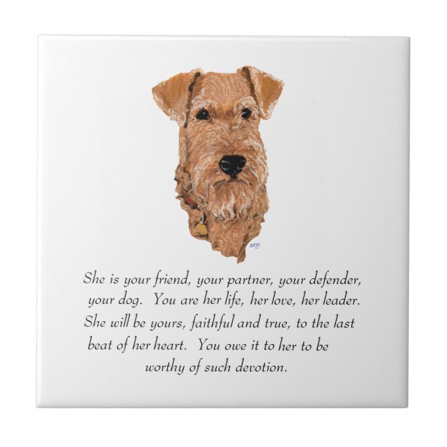 Carreau Irish Terrier Keepsake (Devant)