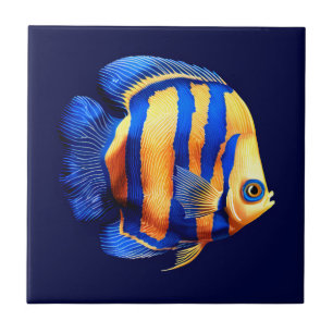 Carreau Island reef Gold bordé papillon plage de poisson m