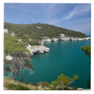 Carreau Italie, Pouilles, Promontoire du Gargano, Testa