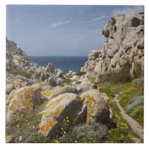 Carreau Italie, Sardaigne, Père Noël Teresa Gallura. Cap