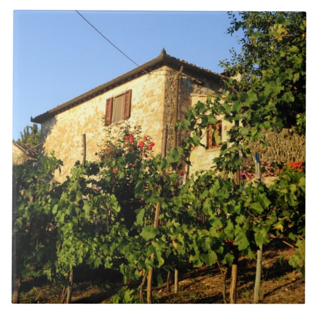 Carreau Italie, Toscane, Greve. Scènes de vin fin été (Devant)