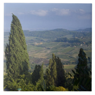 Carreau Italie, Toscane, Montepulciano. Vue de la