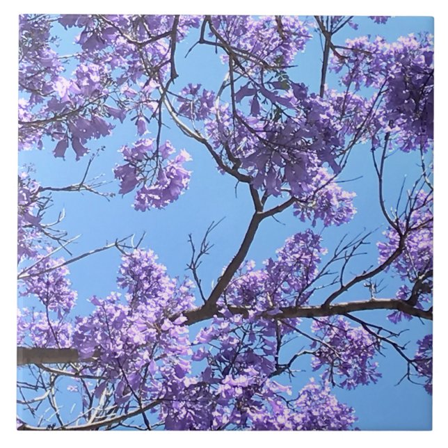 Carreau Jacaranda Blossoms (Devant)