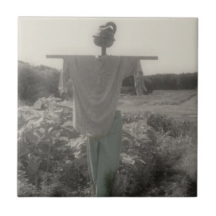 Carreau Jardin Campagne Écart Noir Et Blanc