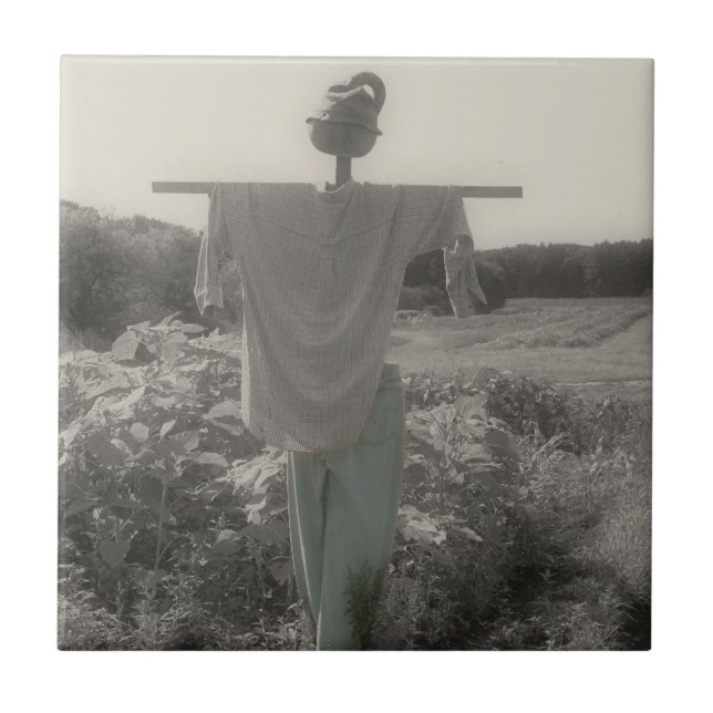 Carreau Jardin Campagne Écart Noir Et Blanc (Devant)