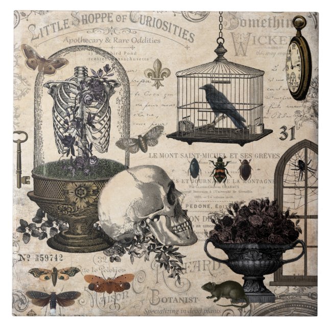 Carreau Jardin d'Halloween Vintage (Devant)