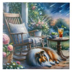 Carreau Jardin étoilé sous le porche de la maison Sheltie 