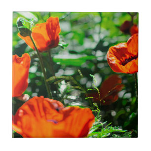 Carreau Jardin stylisé Rouge Orange Fleurs de pavot