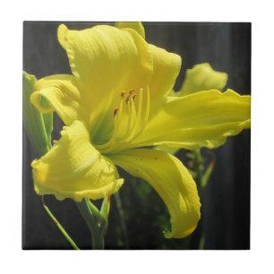 Carreau Jaune