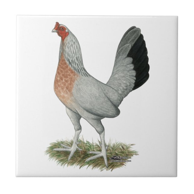 Carreau Jeu de Duckwing Argent Hen (Devant)