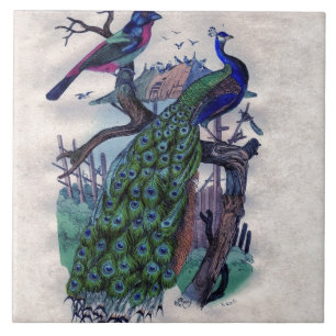 Carreau Joli paon avec l'oiseau