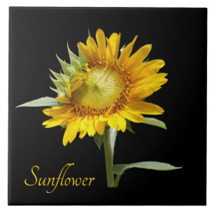 Carreau Joli tournesol jaune sur noir
