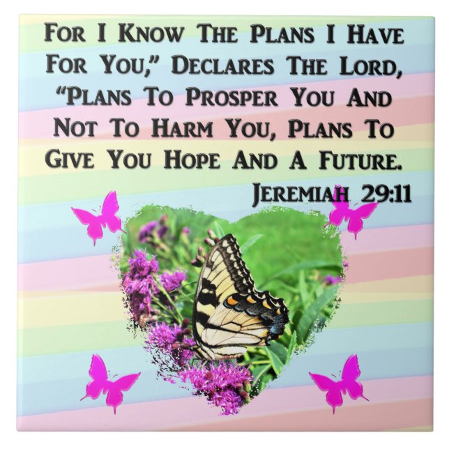 CARREAU JOLIE BOUTTERFLY JEREMIAH 29:11 (Devant)