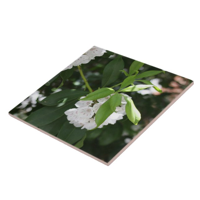 Carreau Jolie étoile de laurier blanc en forme de fleurs (Côté)
