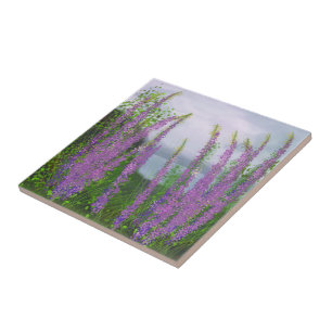Carreau Jolies Fleurs Lupines Au Bord Du Lac