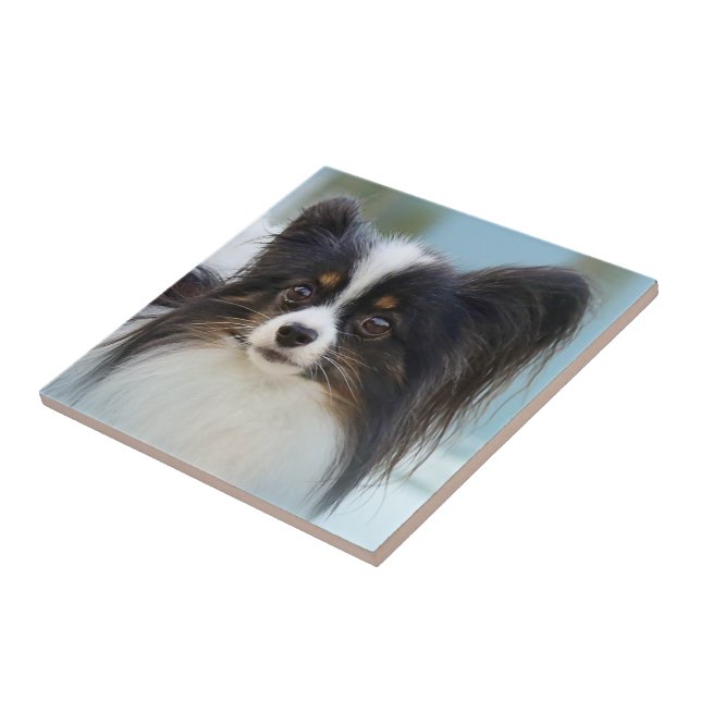 Carreau Jouet Papillon mignonne Chien espagnol à l'quai (Côté)