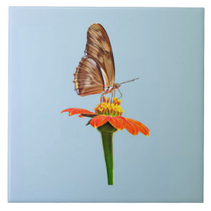 Carreau Julia Butterfly sur Zinnia