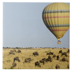 Carreau Kenya, Masai Mara. Touristes en montgolfière