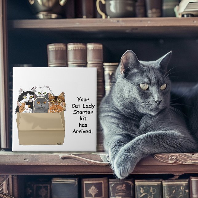 Carreau Kit de démarrage de Dame Chats Drôles Humour Blanc (Créateur téléchargé)