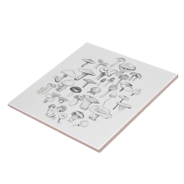 Carreau La bande de champignon (Côté)