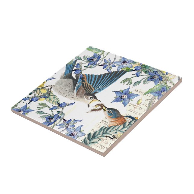 Carreau La bourrache d'oiseaux d'oiseau bleu d'Audubon (Côté)