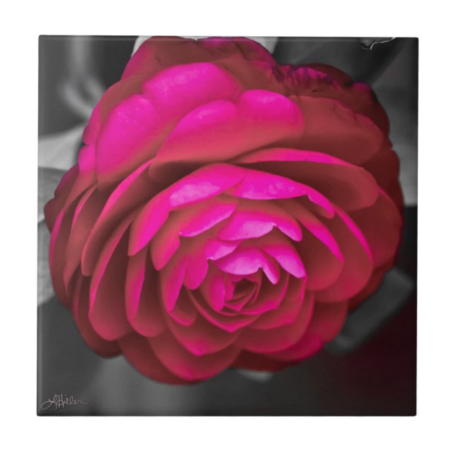 Carreau La Camélia rose  (Devant)