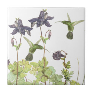 Carreau La faune vintage d'oiseaux de colibri fleurit la