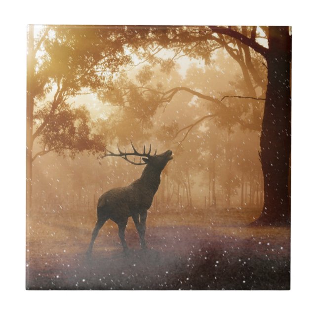 Carreau La Forêt (Devant)