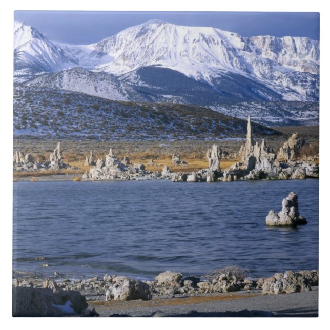 CARREAU LA RÉSERVE NATURELLE DE MONO LAKE TUFA, (Devant)