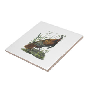 Carreau La Turquie sauvage par Audubon