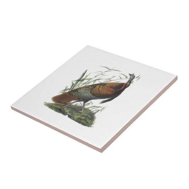 Carreau La Turquie sauvage par Audubon (Côté)
