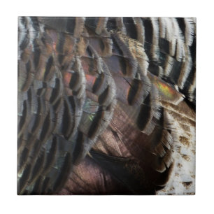 Carreau La Turquie sauvage Plumes I Abstrait Nature Design