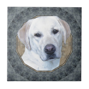 Carreau Labrador retriever classique